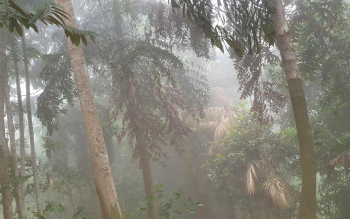 Misty View Point EcoResort  Camping site Ratnapura