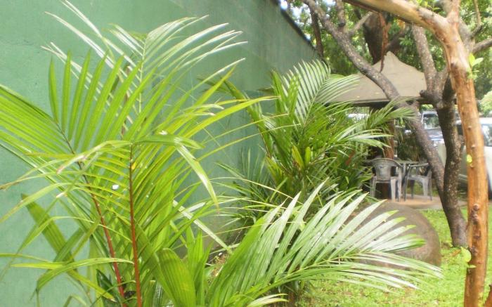 Cottage Tourist Rest