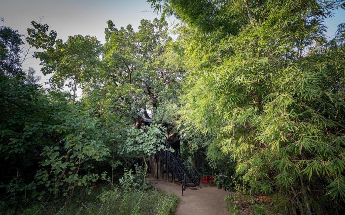 Pugdundee safaris - Tree House Hideaway