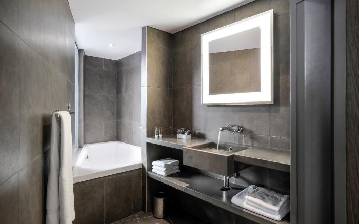 Novotel Lyon Confluence Hotel