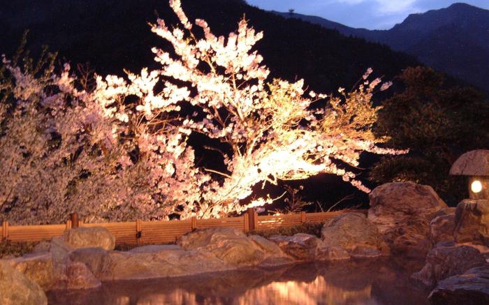 Iya Onsen Hotel Kazurabashi