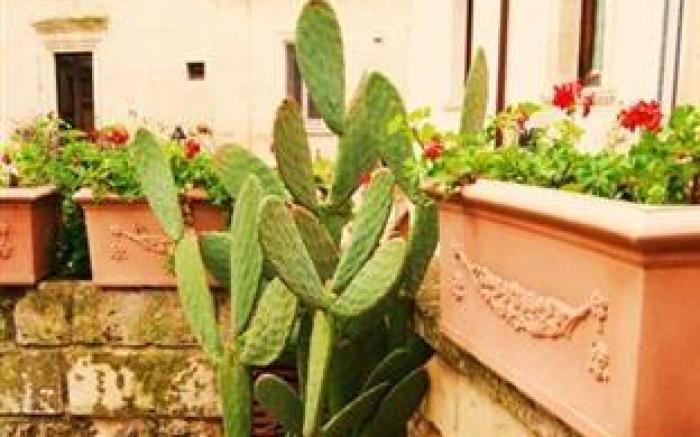 B&B Demetra Appartamenti