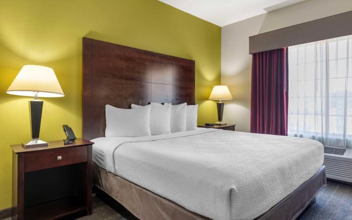 Best Western Plus Mansfield Inn and Suites