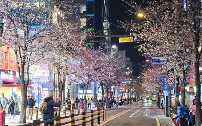 Long stay hostel Sinchon Hongdae