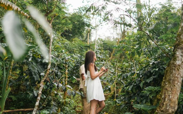 Munduk Moding Plantation