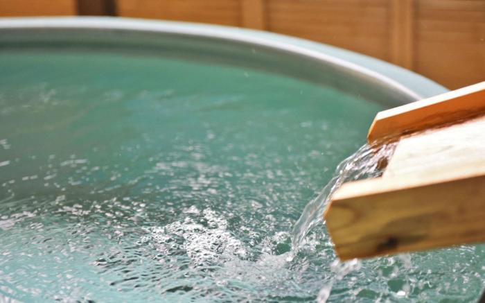 Shin Kaikatei Izumi Hot Spring Ryokan