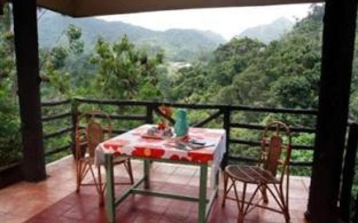 Wild Elephant Eco-Friendly Resort
