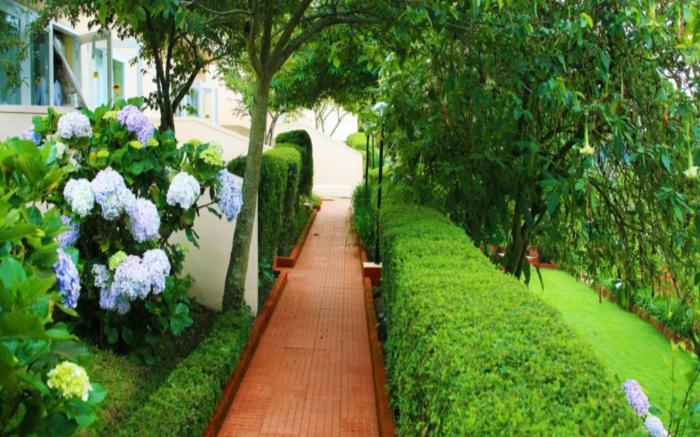 Kodai Resort Hotel