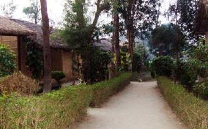 Nature Safari Lodge