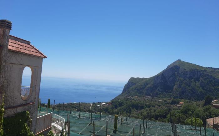 Villa Mariel