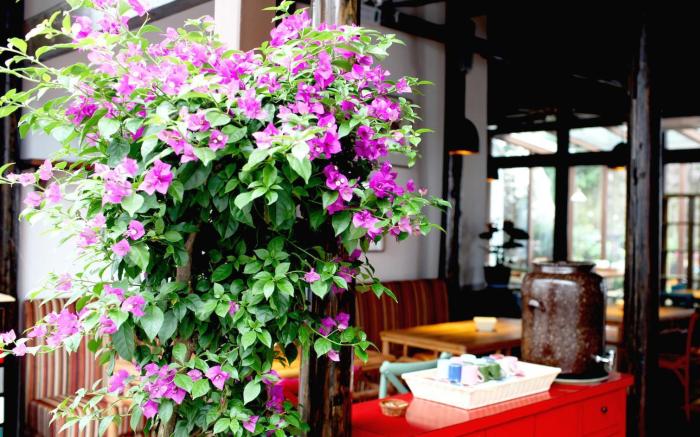 Hofang Guest House