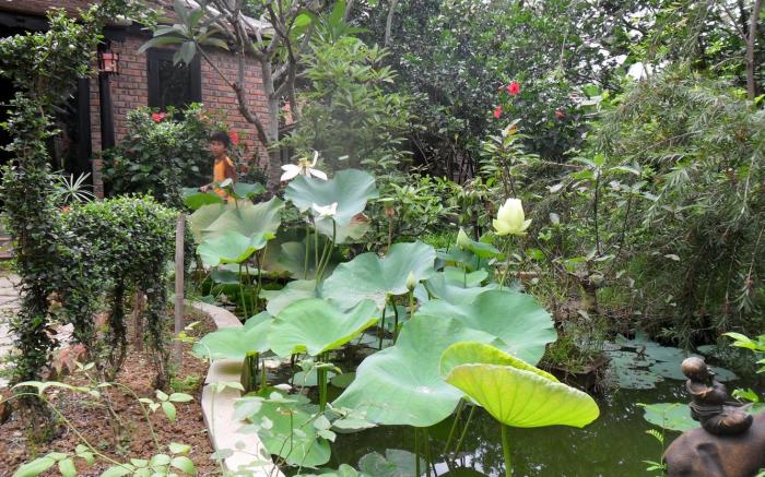 Tam Tinh Vien Homestay