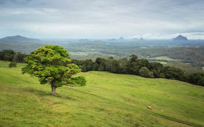 Tranquil Park Maleny