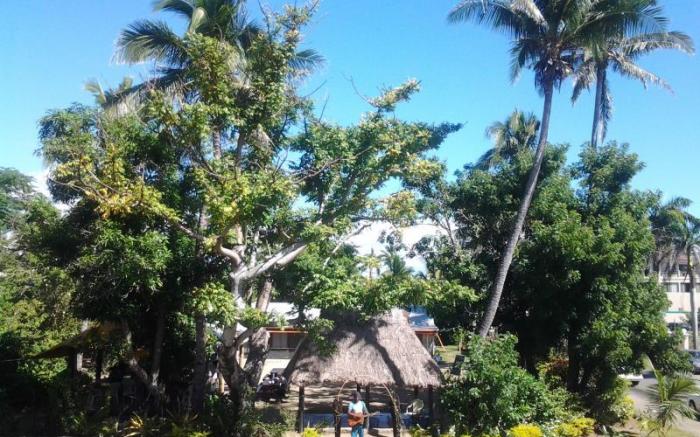 Bamboo Backpackers Hostel