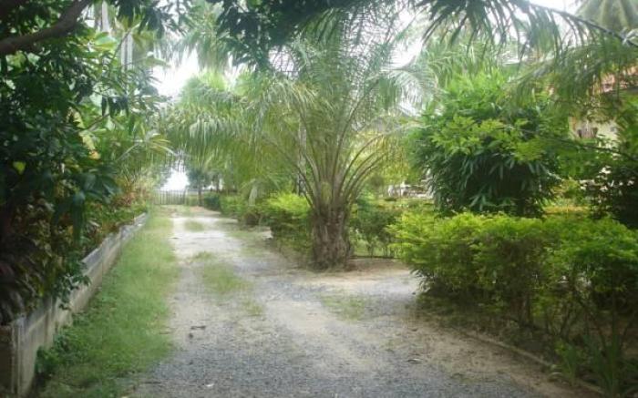 Samui Natien Village