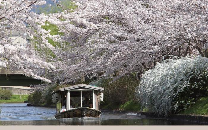 KYOMACHIYA Higurashi - Japanese modern House