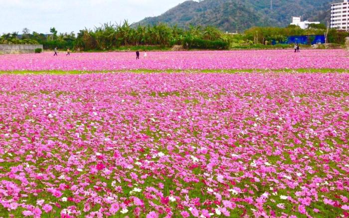 Bougain Terrace Resort Ta-chi House