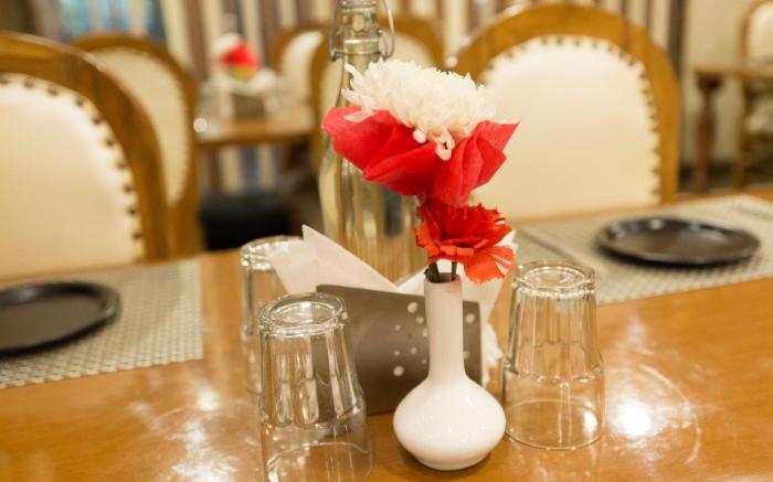 Hotel Viva Palace By OPO