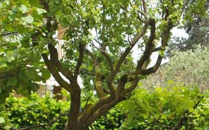 B&B La Maison degli Angeli