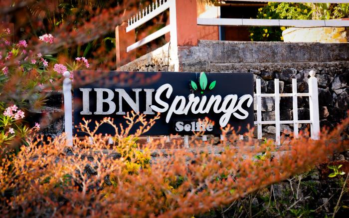 Ibni Springs