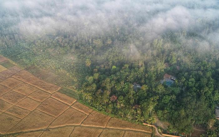 Raindrops Resorts Wayanad