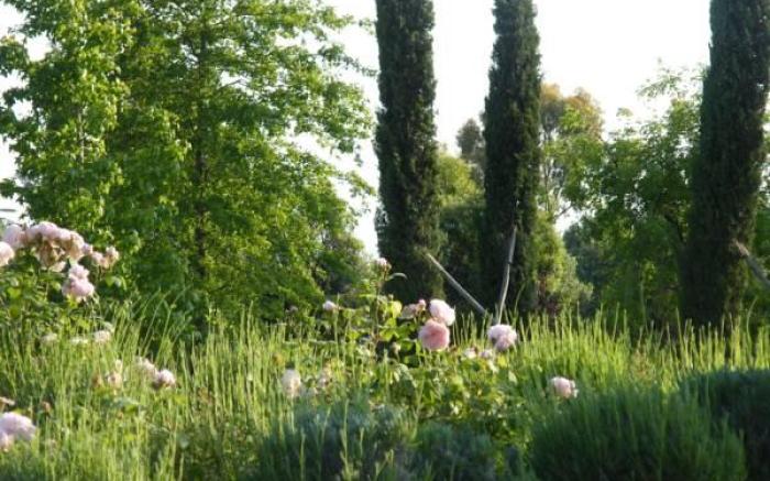 Casale DI Tormaggiore Villa And Country Suites