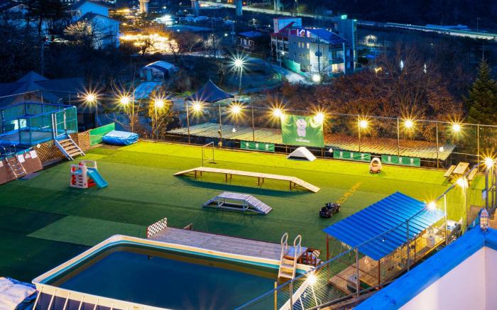 Chuncheon Dogandstay