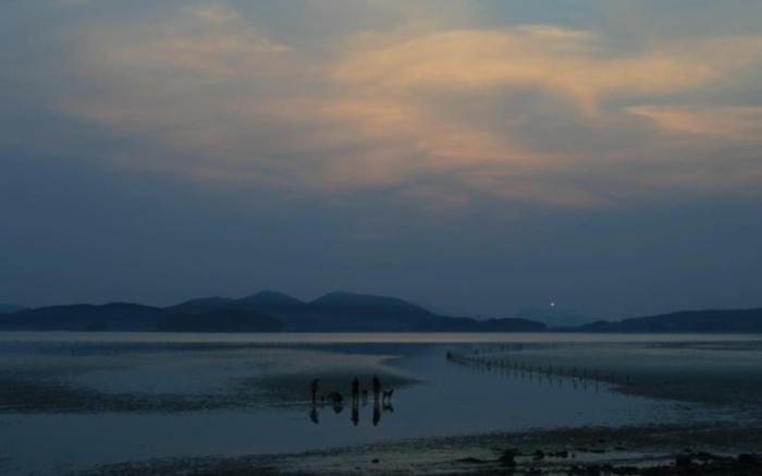 Taean Anmyeondo Laon Pet Pension