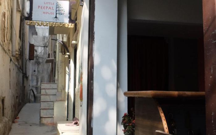 Little Peepal House