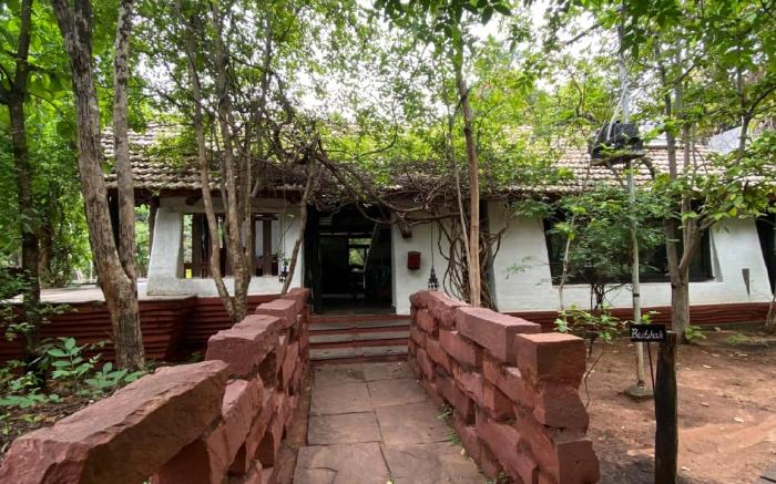 Monsoon Forest Bandhavgarh