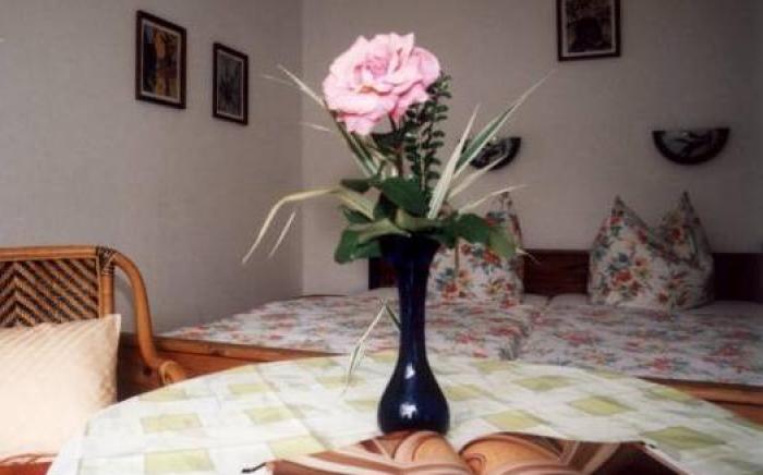 Pension Alter Zausel
