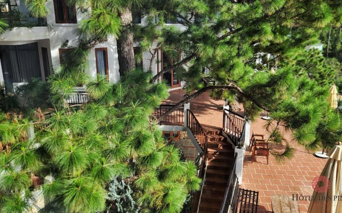 Hotel Des Pins Dalat