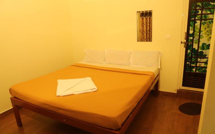 Jungle Paradise Farm and Guest House