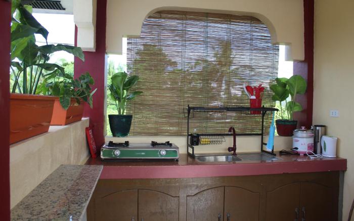 Alona Peace Lily Studio Apartment "UP"