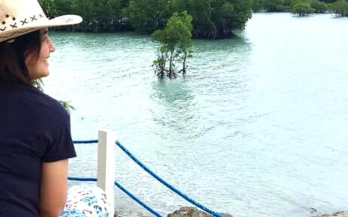 Toliz Beach House Sipaway Island San Carlos City