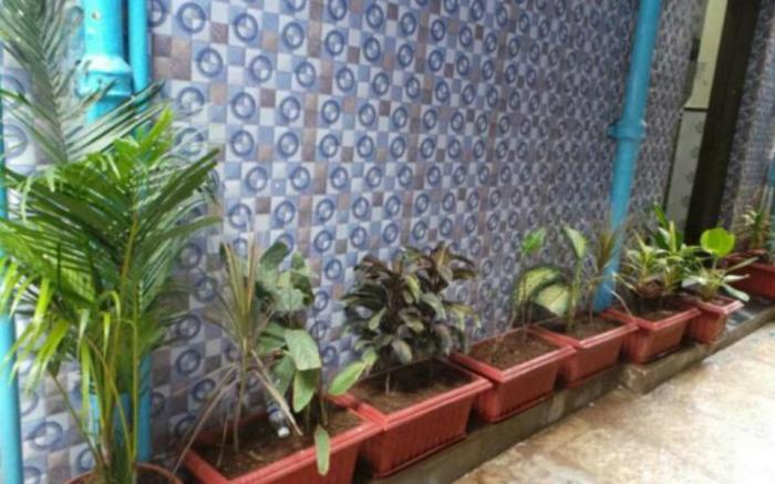The New Metro Guest House
