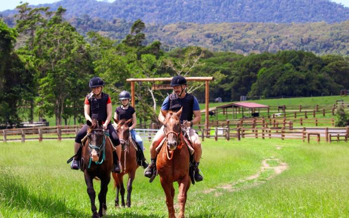 Kur- Cow Farm 35 minutes from Cairns CBD