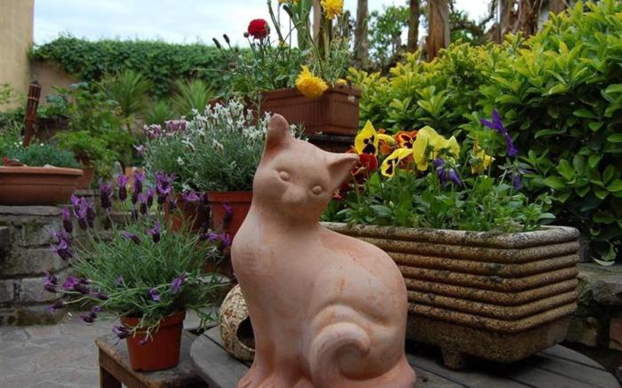 Abbraccia Morfeo B&B