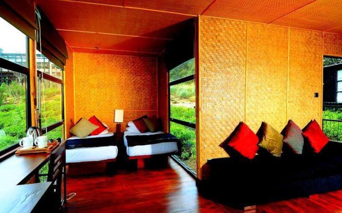 The Rainforest Ecolodge