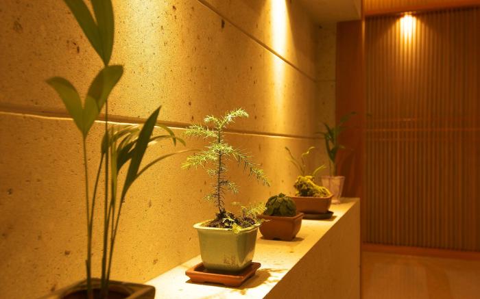 Arima Onsen Taketoritei Maruyama Ryokan