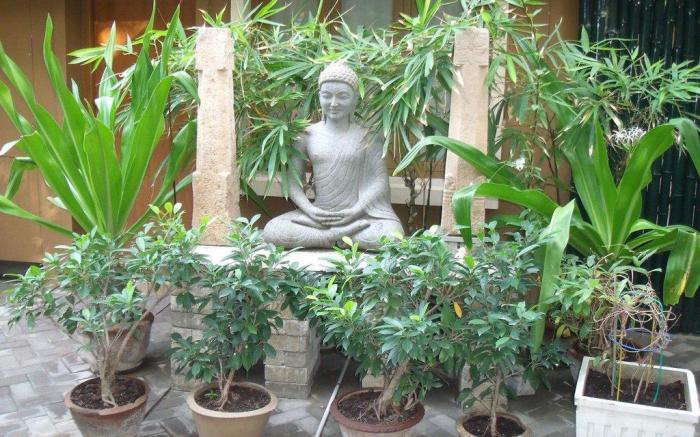 Hanu Reddy Residences Poes Garden