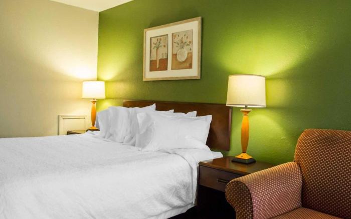 Econo Lodge North