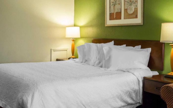 Econo Lodge North