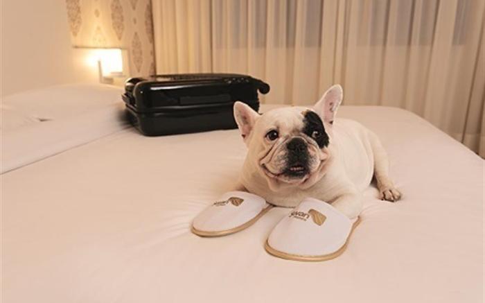 Hotel Swan Caxias do Sul