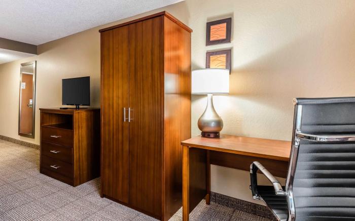 Comfort Inn & Suites Airport-American Way