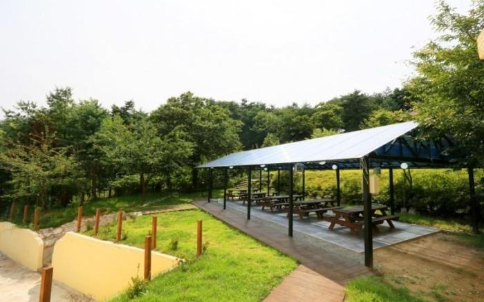 yangyang family pension