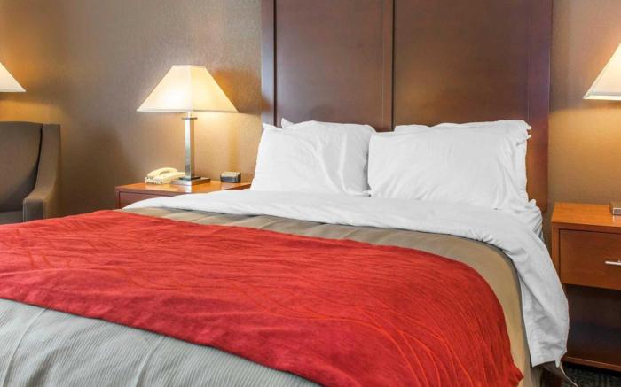 Comfort Inn Warren I-69