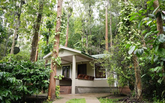 Adrak Mountain Mist Forest Resort