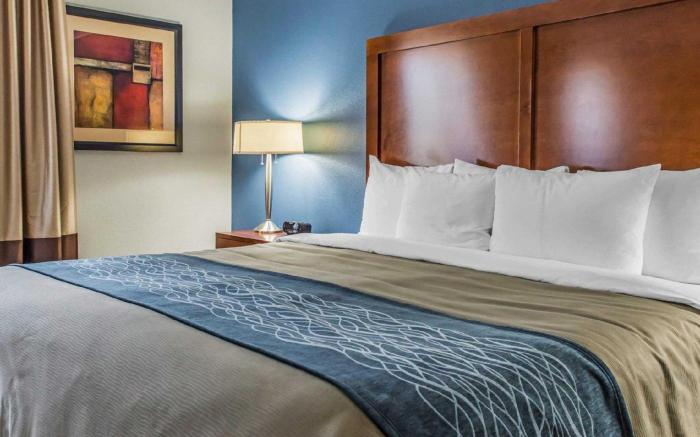 Comfort Inn Belle Vernon