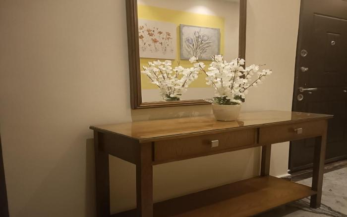 Luxury Elegant  Apartment in Mohandessen